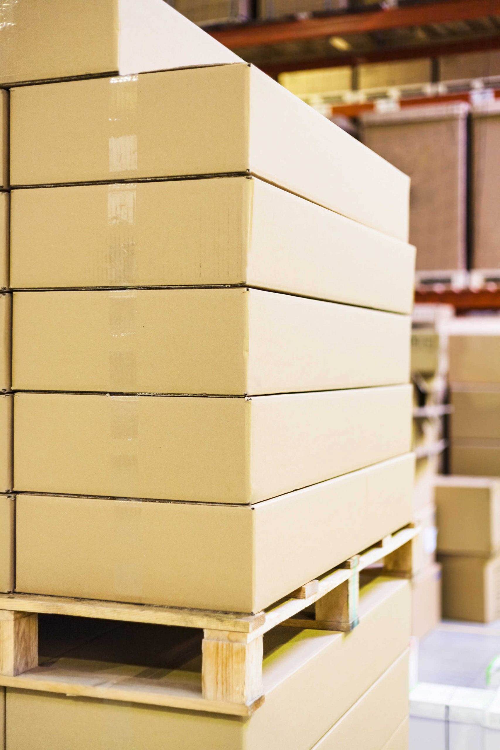 Bancale con pacchi imballati pronto per la spedizione da Bellotto Trasporti